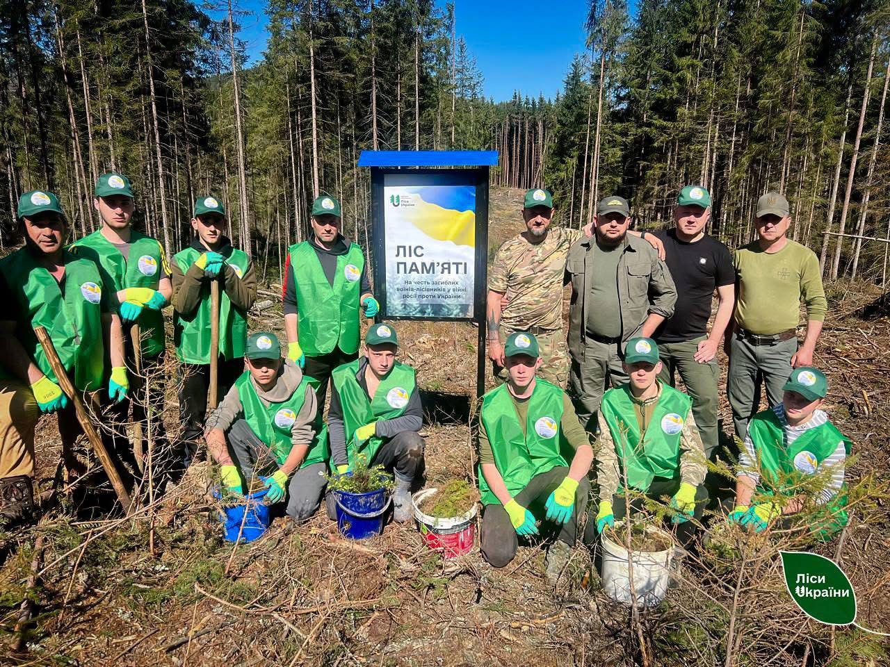 «Ліс пам’яті» на честь загиблих воїнів зʼявився на Буковині